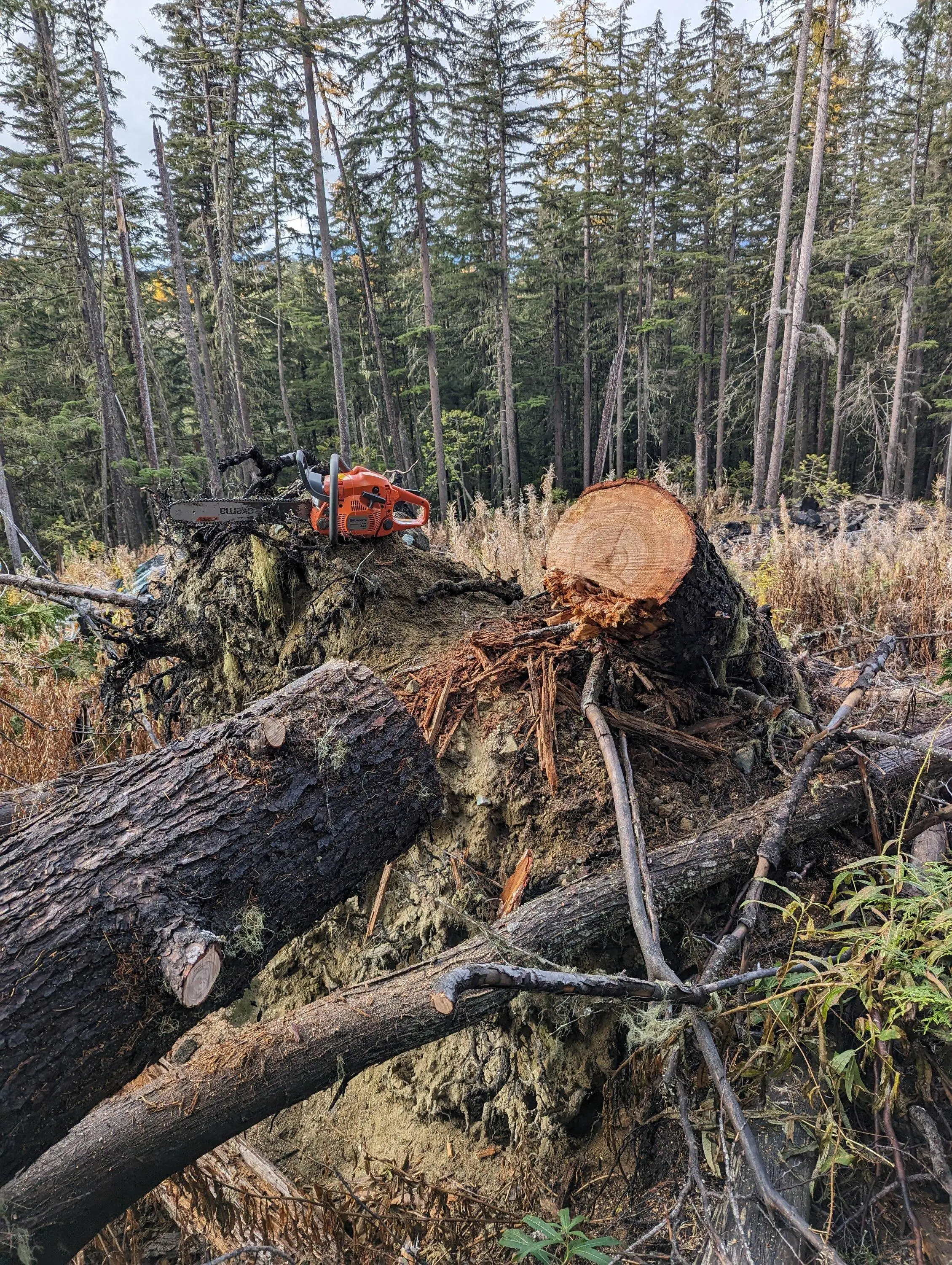 Ford F-150 Firewood gettin PXL_20231015_192253249