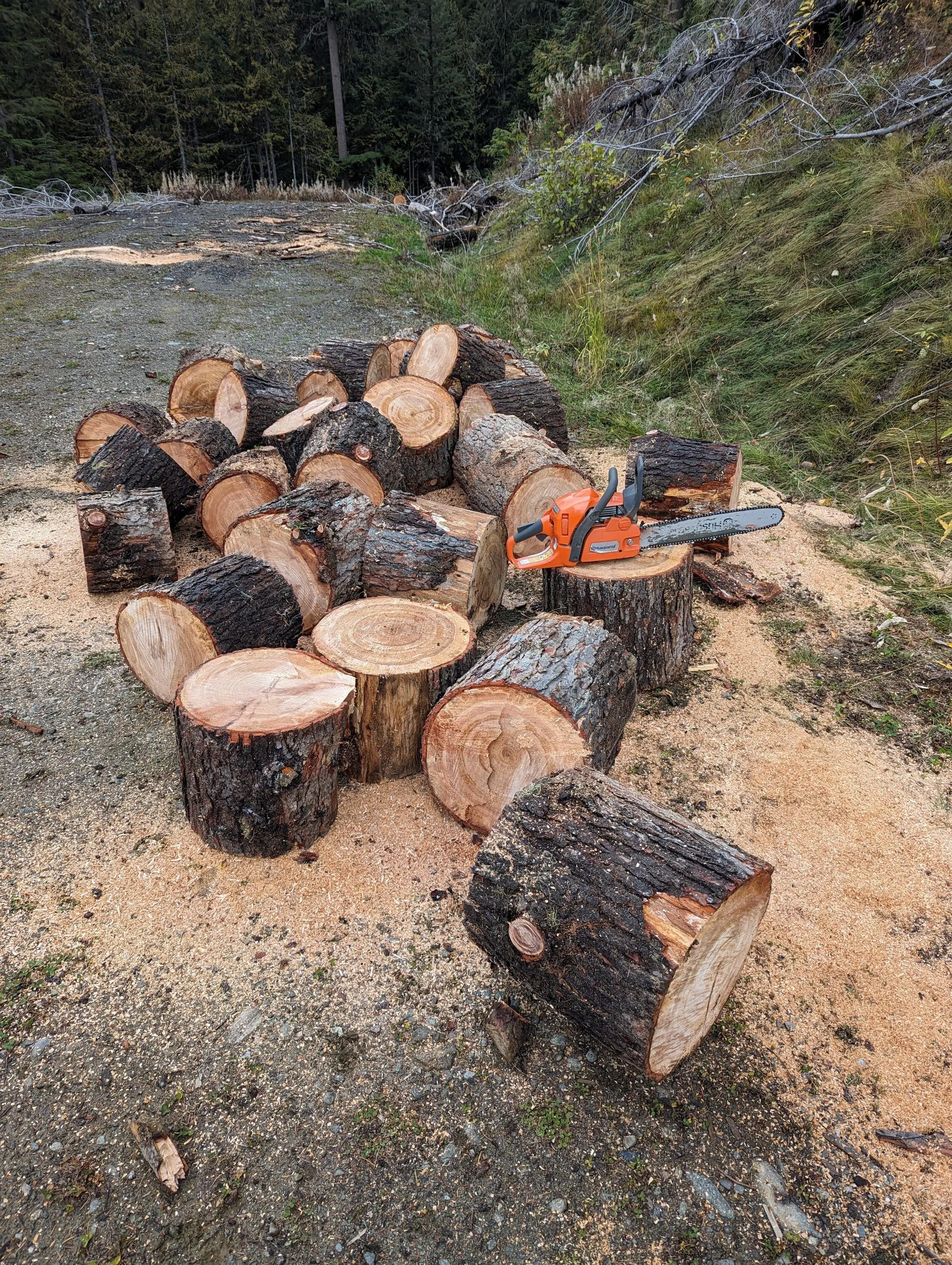 Ford F-150 Firewood gettin PXL_20231015_204757816