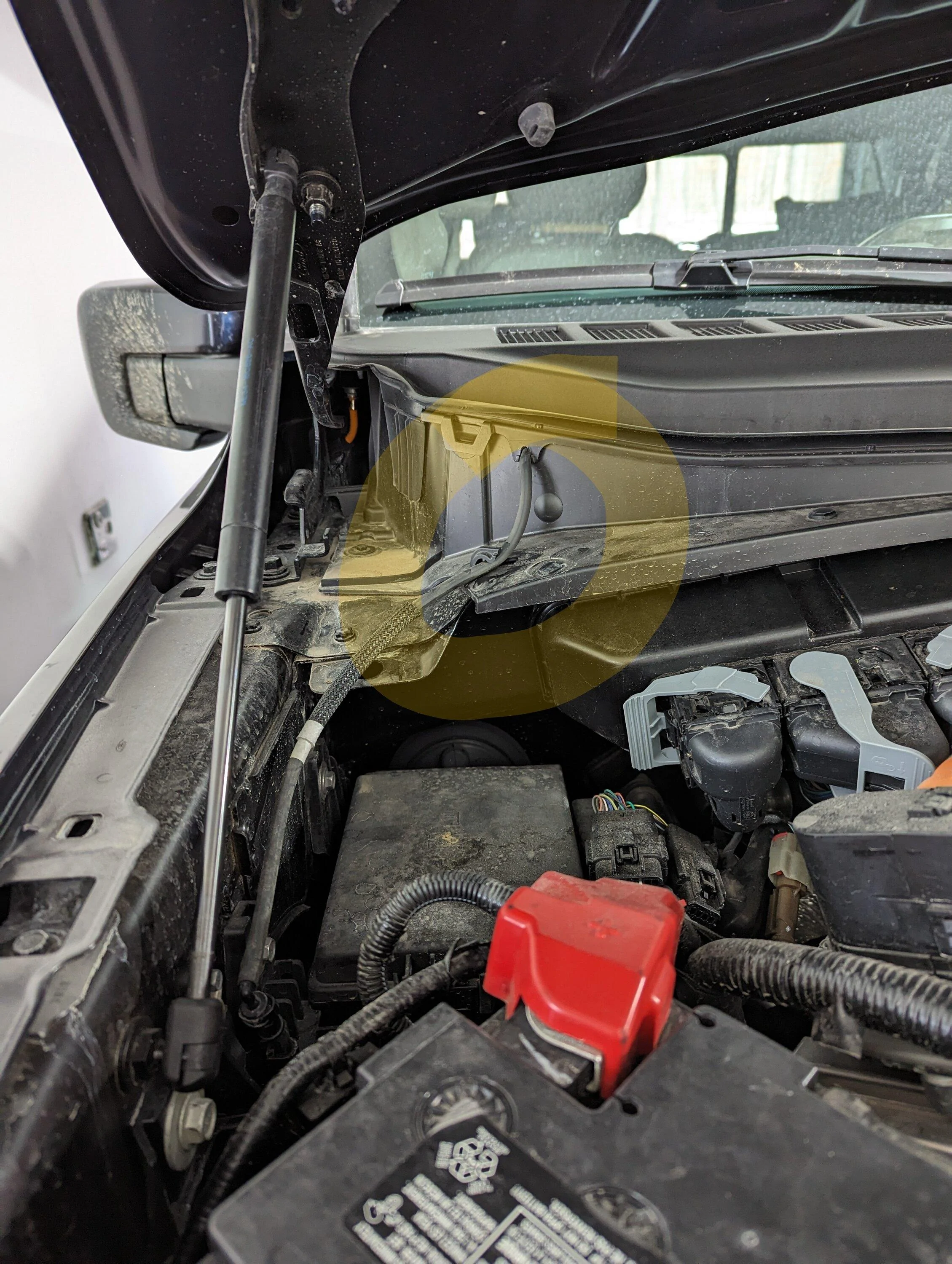 Ford F-150 Anyone else have weak wipers? PXL_20240203_214107512~2