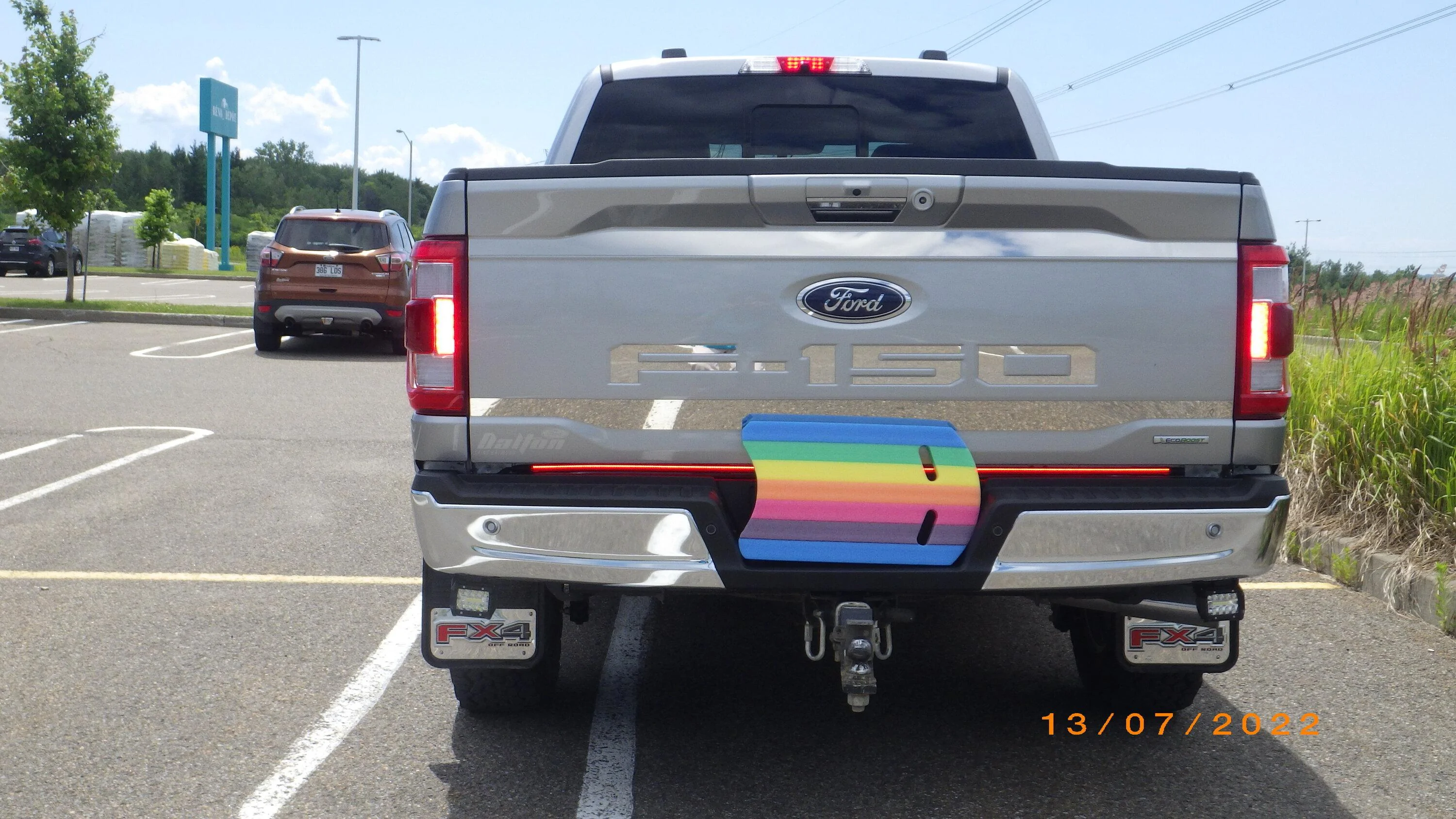 Ford F-150 Do you prefer color matched, or chrome? RIMG6549