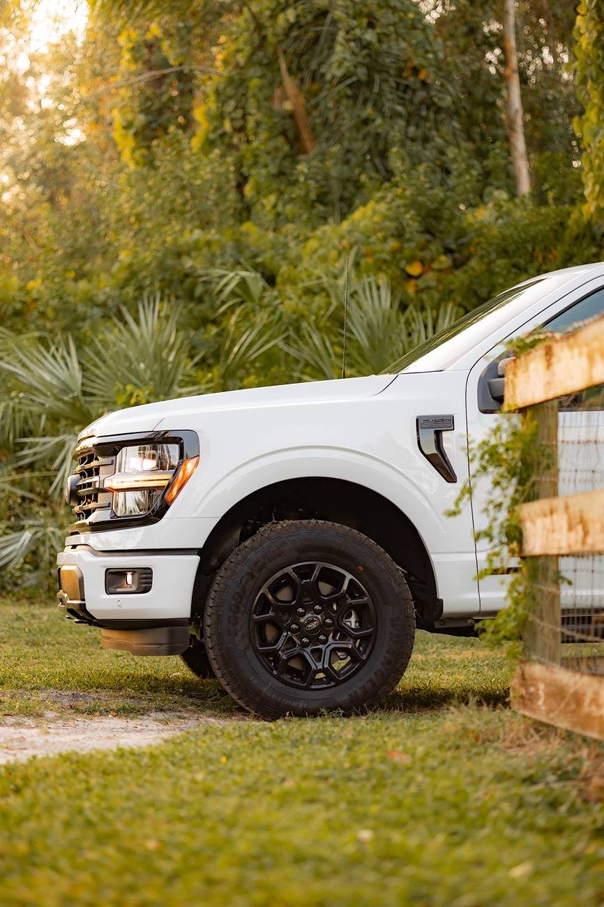 Ford F-150 Keeping it Daily - 24 SCrew PB rws_1669.JPEG