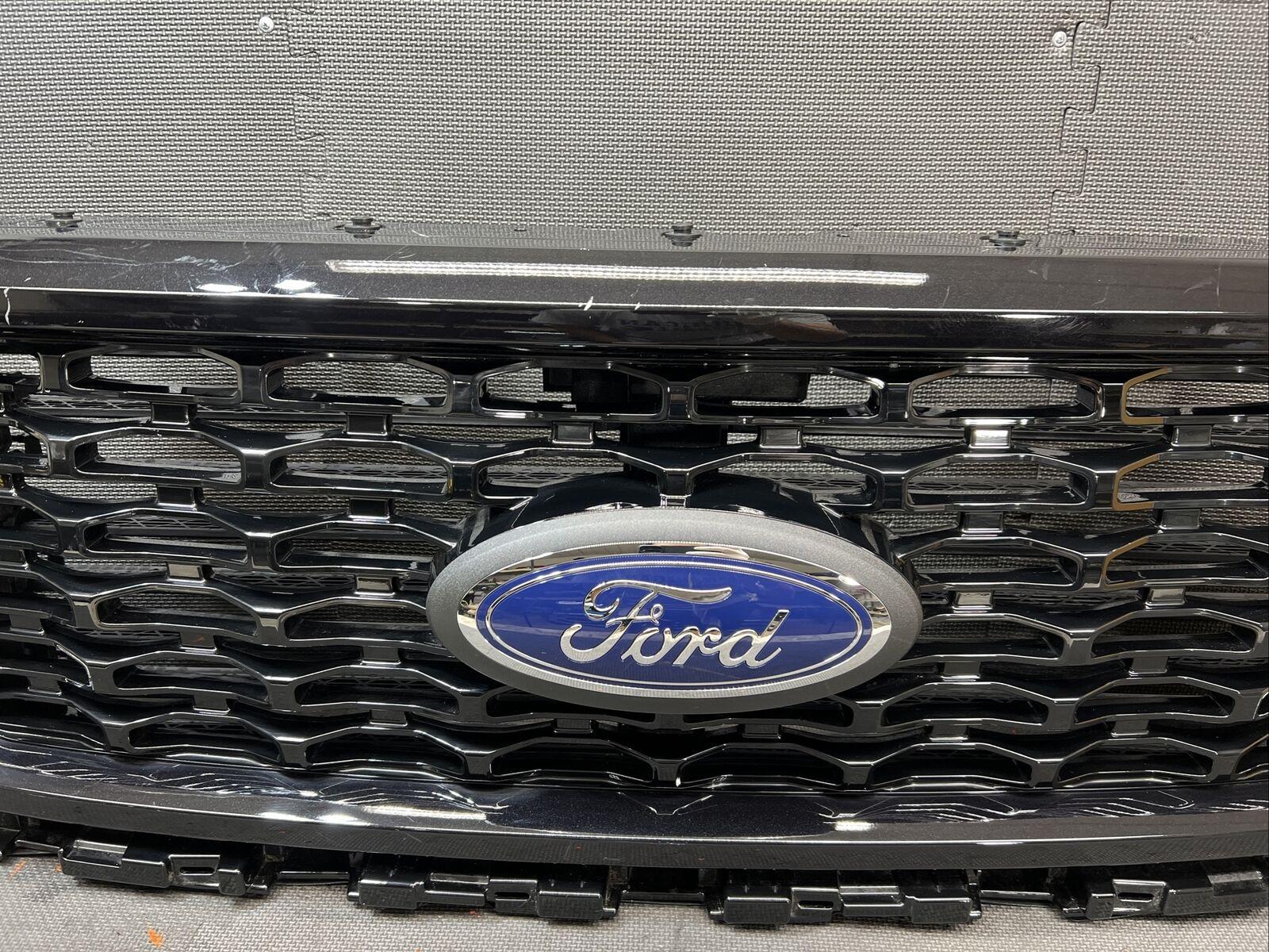 Ford F-150 Lariat Sport Grille Insert - Opinions Wanted s-l1600