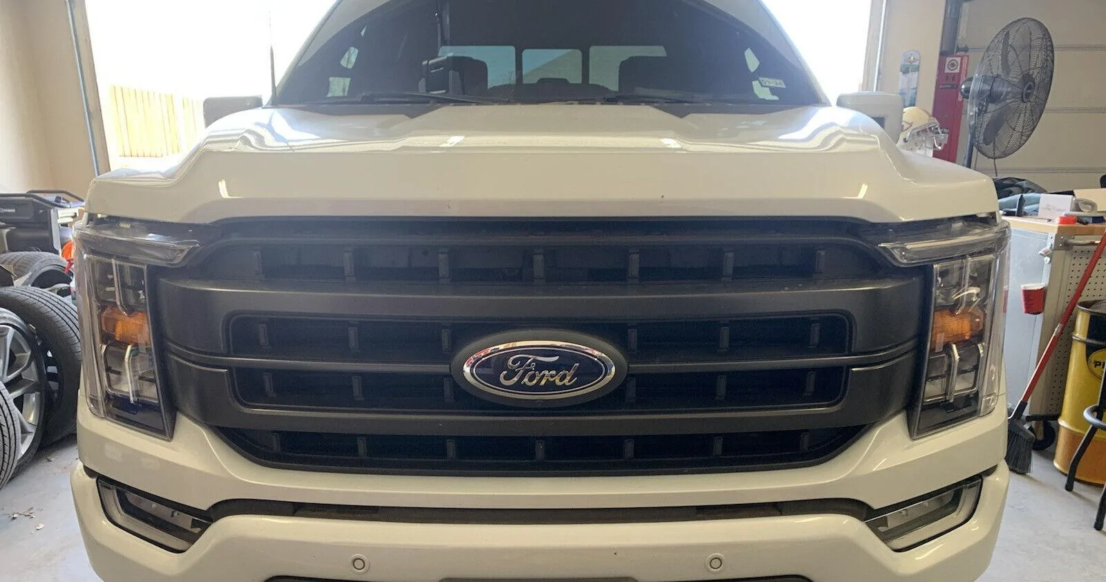 Ford F-150 Am I the only one that thinks Ford needs to improve front grill designs? s-l1600