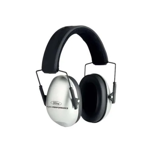 Ford F-150 Dangerous B&O sound system issue s-l500