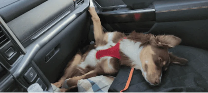 Ford F-150 About 535 hours of life so far for my Powerboost Screen Shot 2021-10-26 at 10.02.03 PM