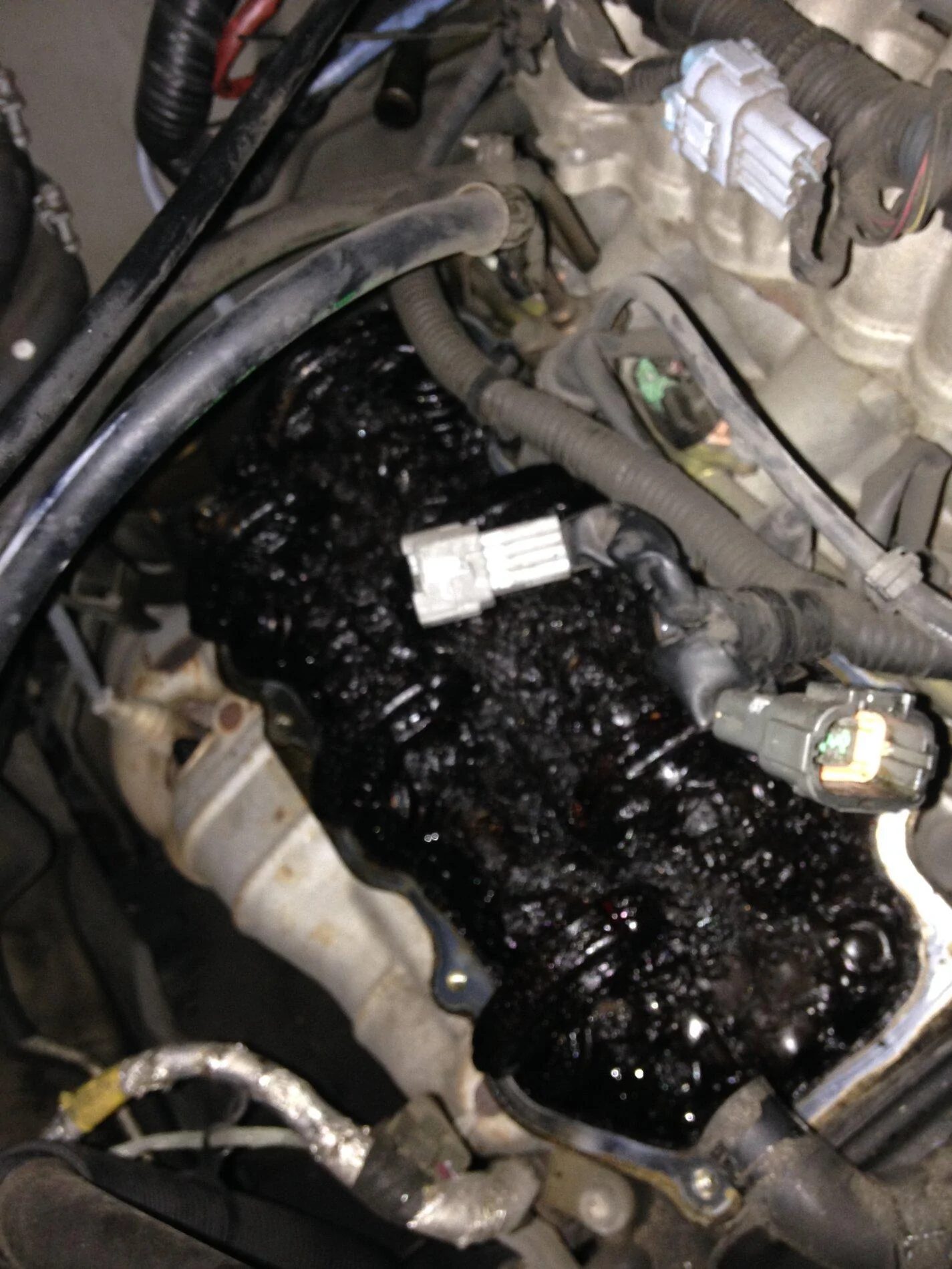 Ford F-150 Extended Service Plans ESPs Sludged Engin