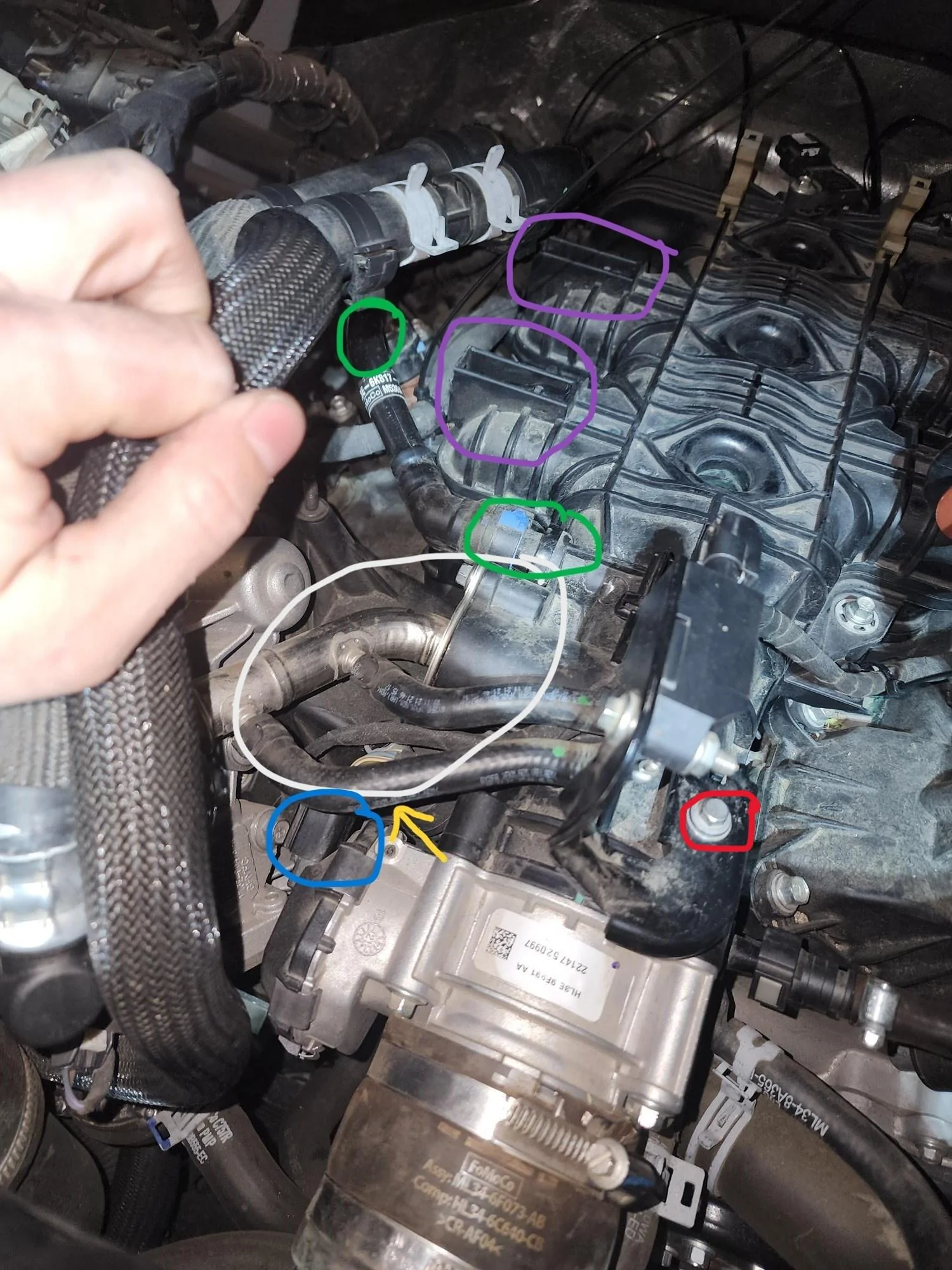 Ford F-150 Replacing Port Injectors on a 2022 F150 3.5 Ecoboost tDLAiuv