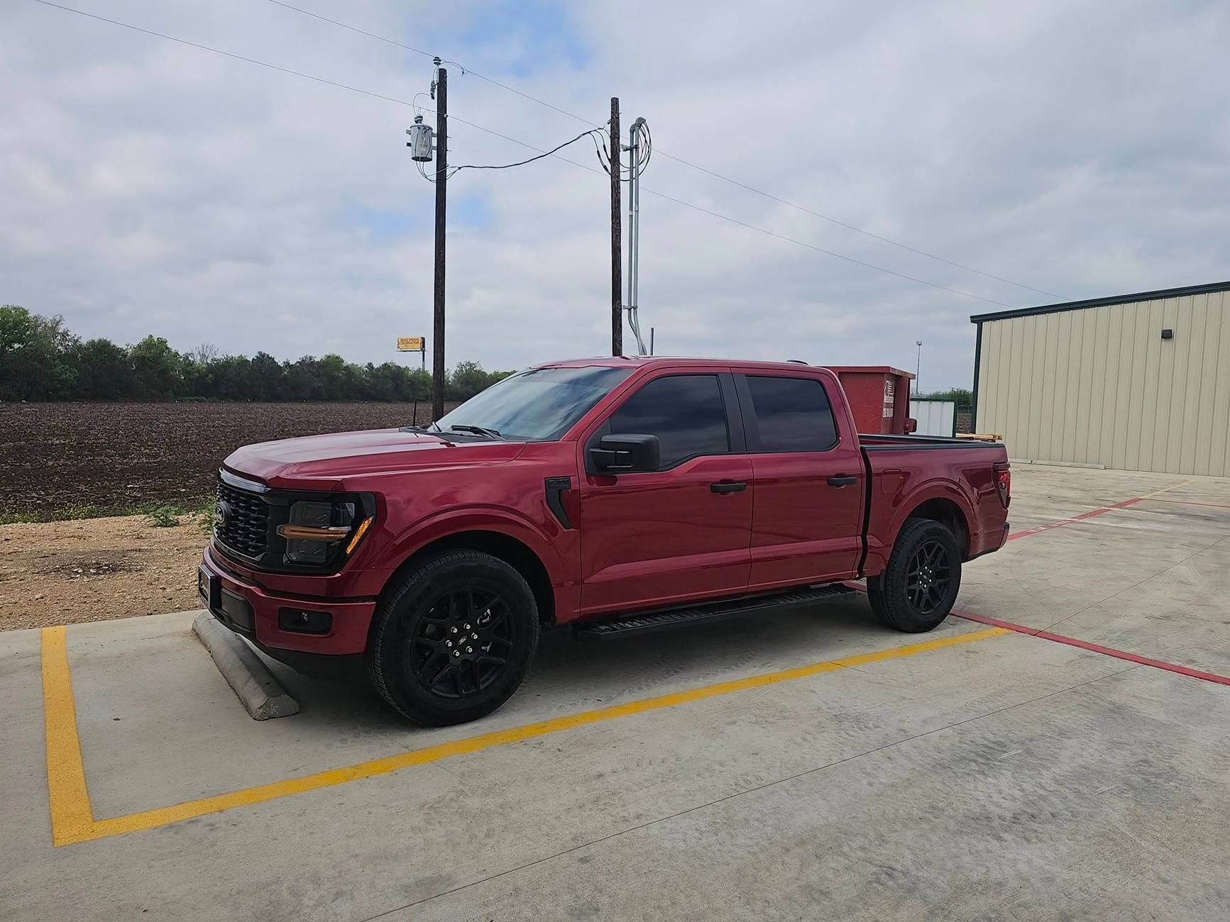 Ford F-150 Introductions and Welcome Thread! 👋 tinted f150