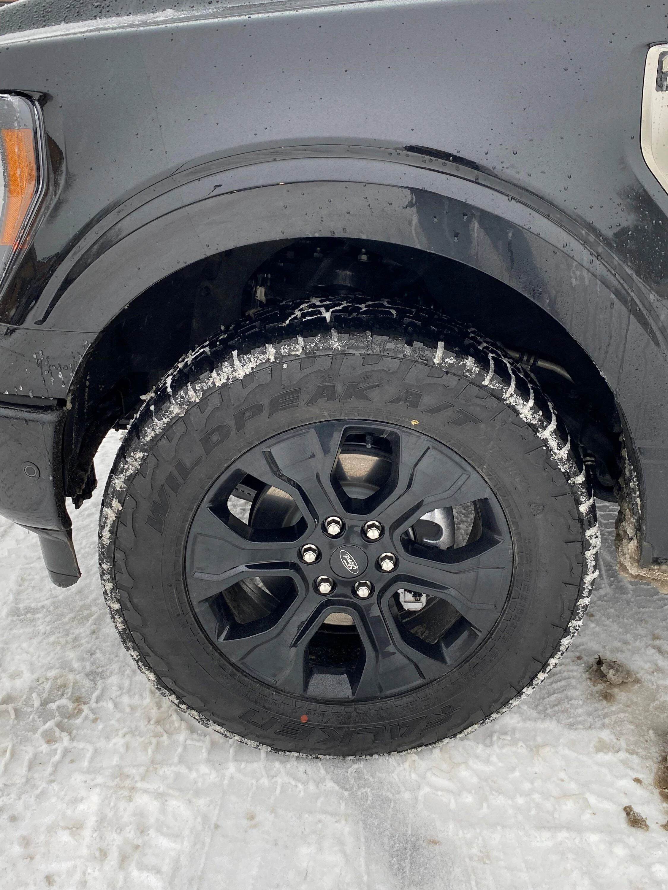 Ford F-150 Black Appearance Package, Black Platinum F-150 Tires