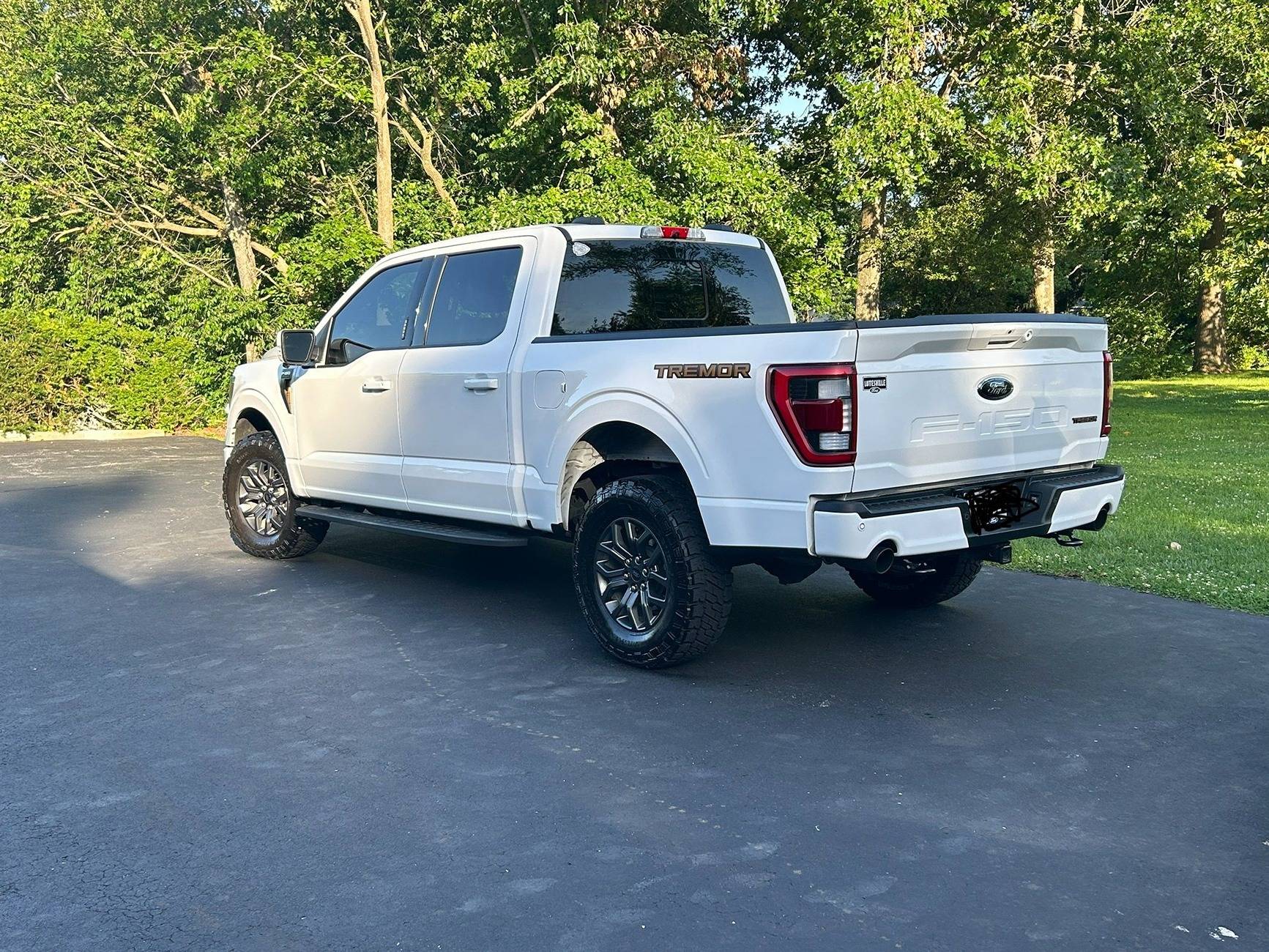 Ford F-150 a GOOD-NEWS thread ..... share yours! Tremor 3