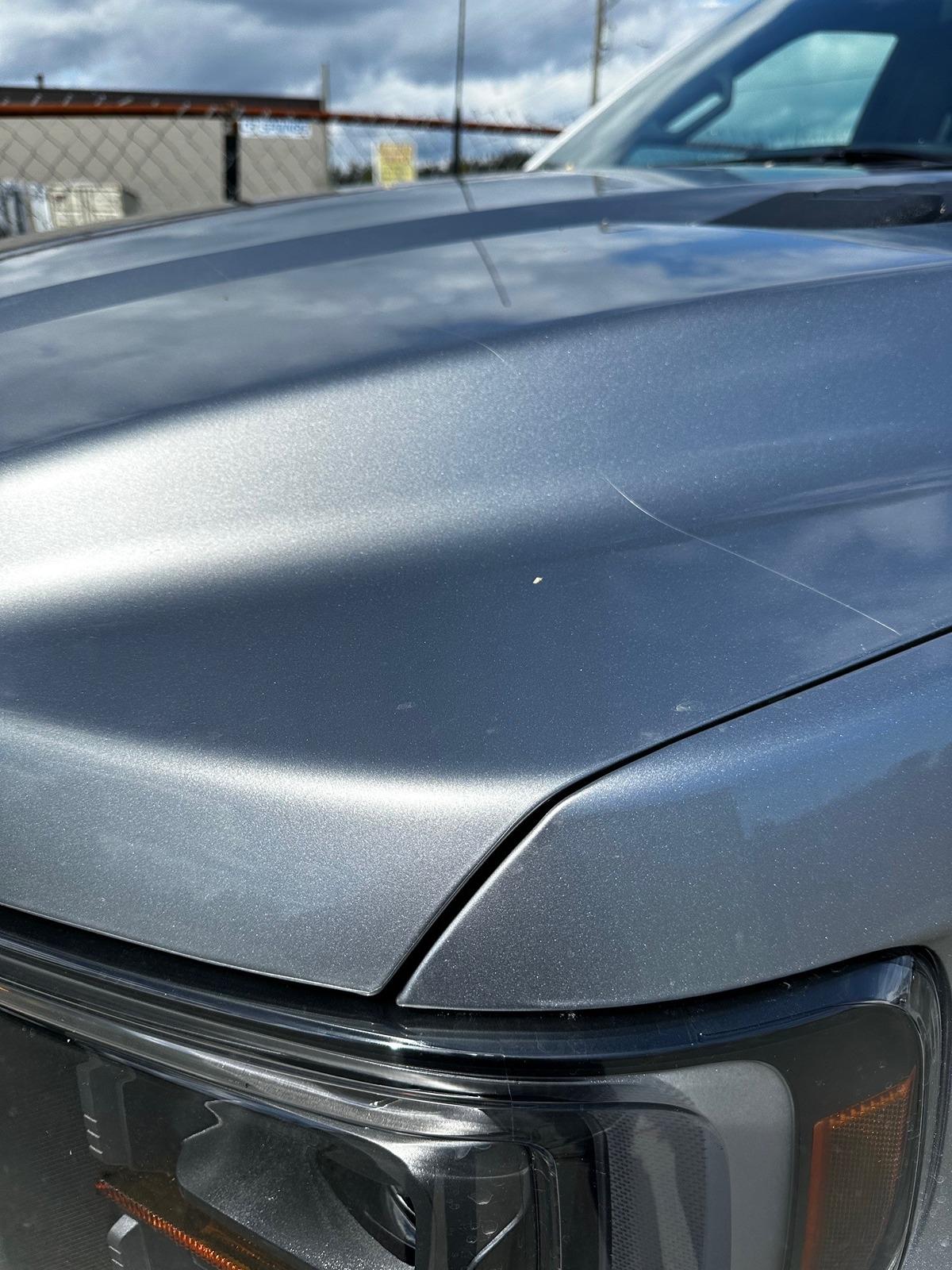 Ford F-150 F150 Tremor Bug/Hood Protector/Deflector Still Not Available? TremorBra3