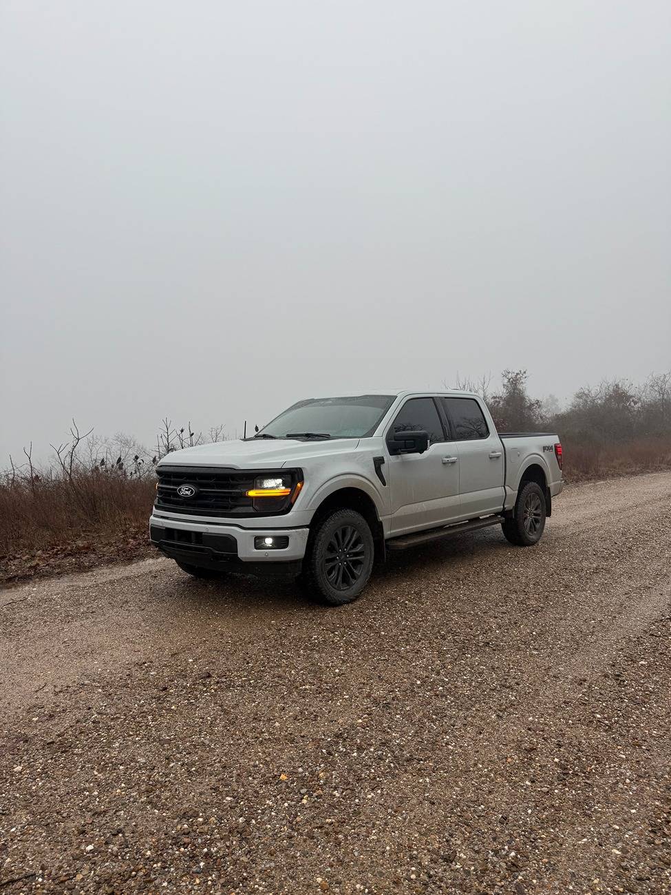 Ford F-150 Going to get the Eibach Stage 2 Rs......What UCA should I get? unnamed (1)
