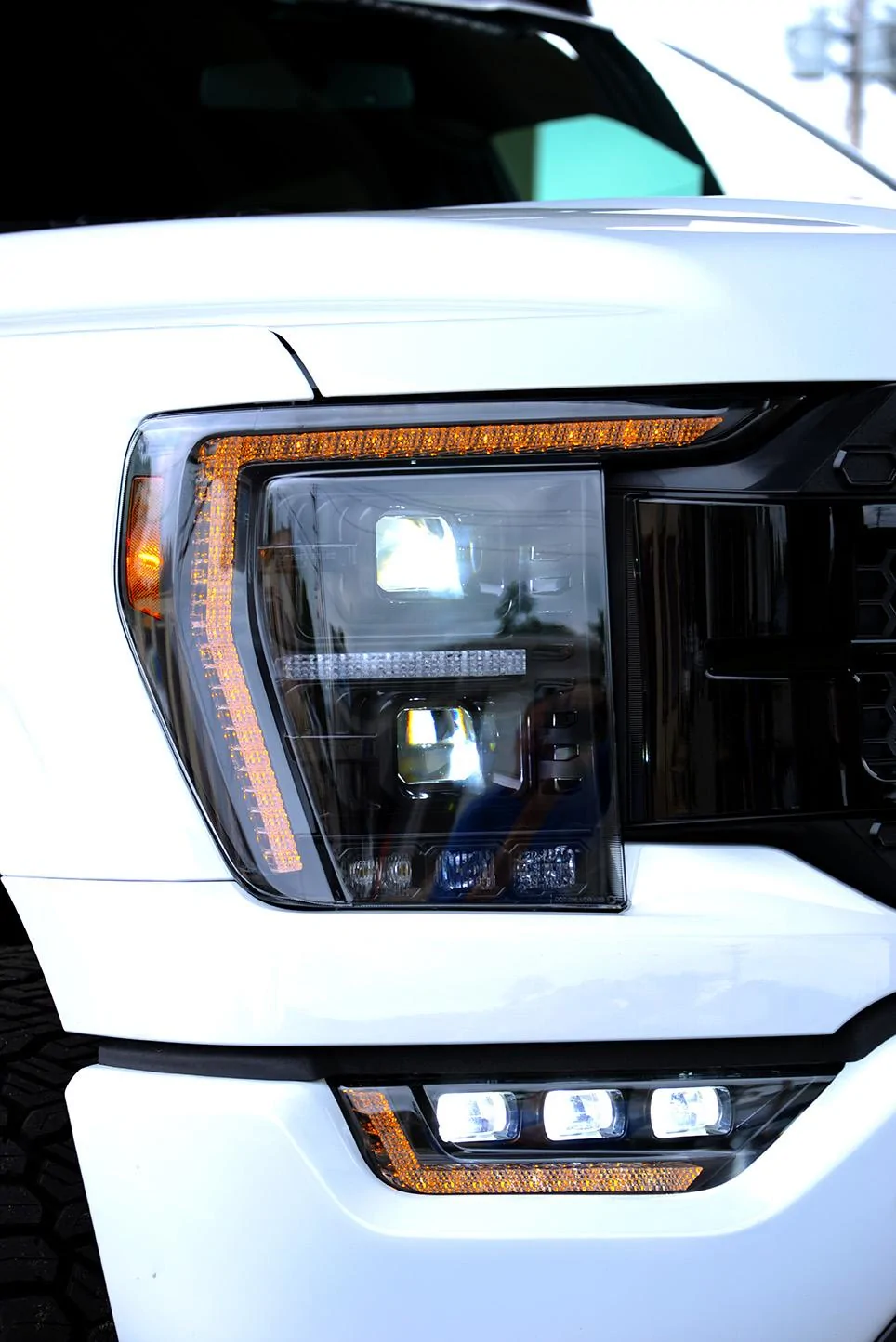 Ford F-150 New Diode Dynamics Elite Headlights | PHOTOS Vertical6 (Small)