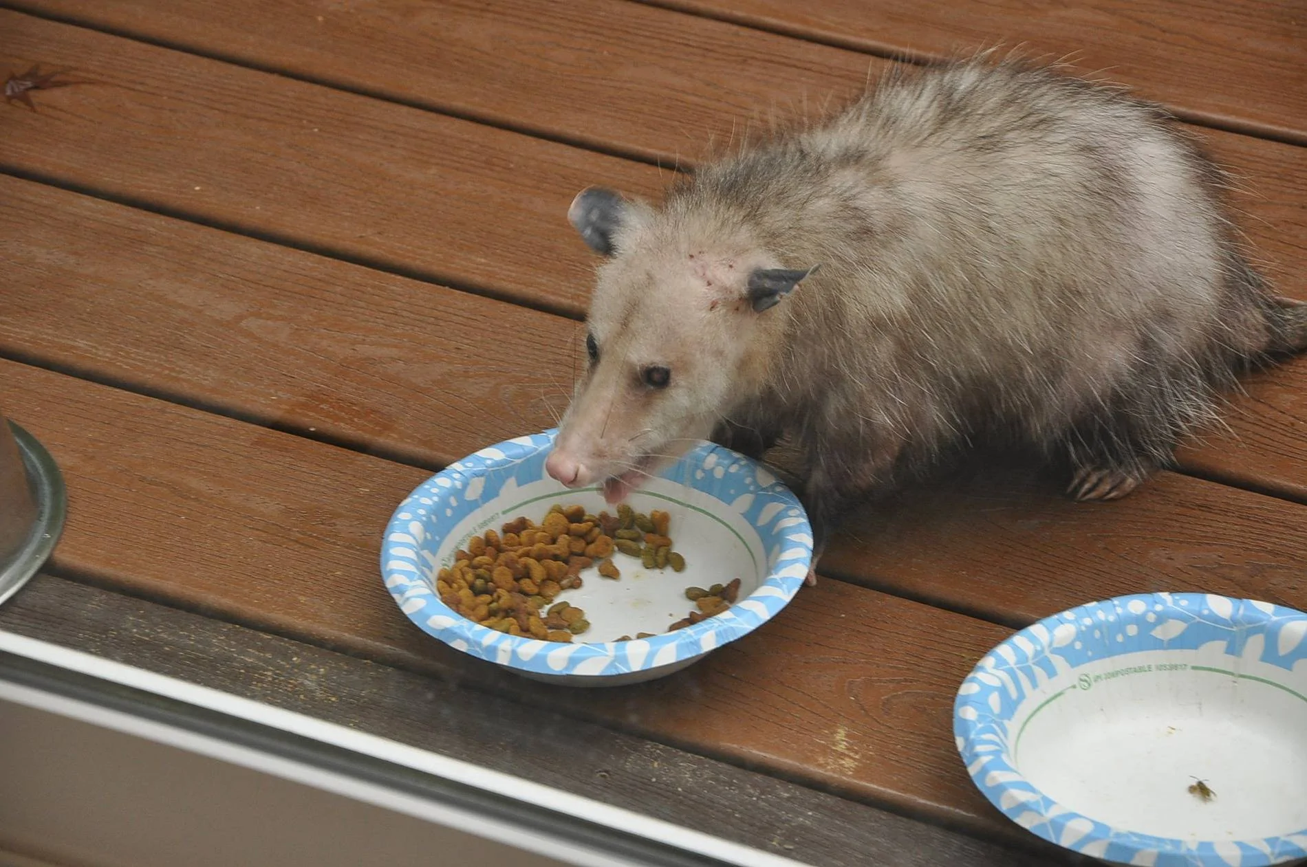 Ford F-150 Wolfbox - MegaFlow 100 Hand Blower WB7