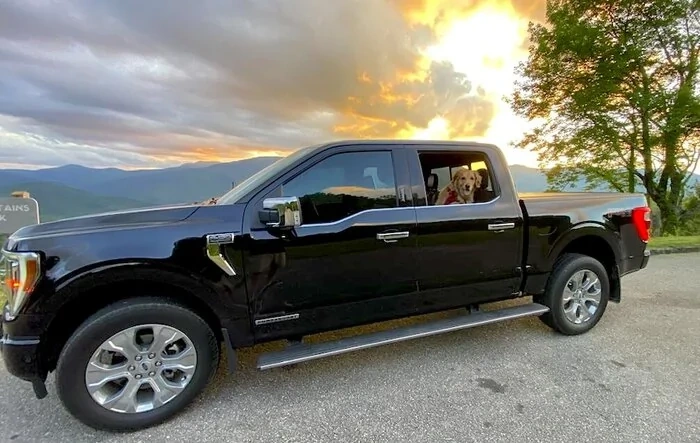Capturing Your F-150 Moments with Pets - Share Yours!