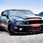 MNSHELBYGT